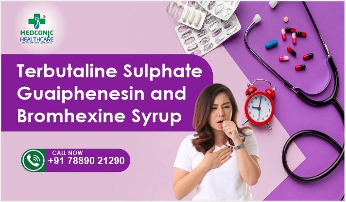 Terbutaline Sulphate Guaiphenesin and Bromhexine Hydrochloride Syrup