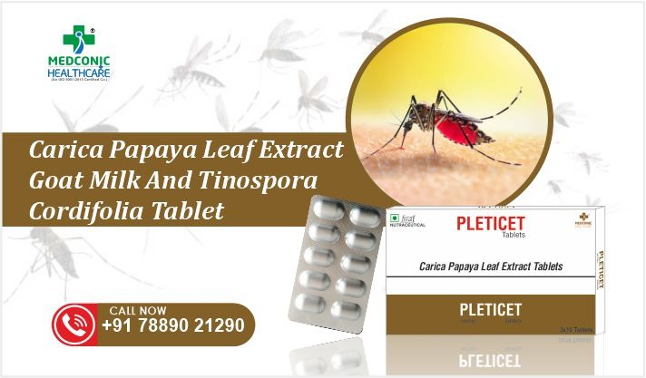 Carica Papaya Leaf Extract Goat Milk and Tinospora Cordifolia Tablet